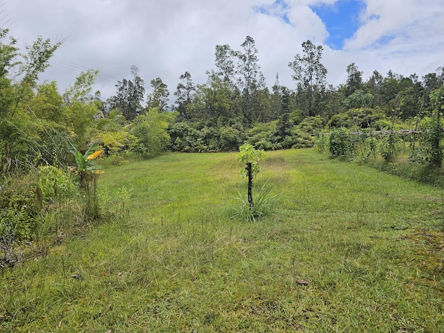 16-1754 Uhini Ana Rd, Mountain View, HI 96760 - photo 20
