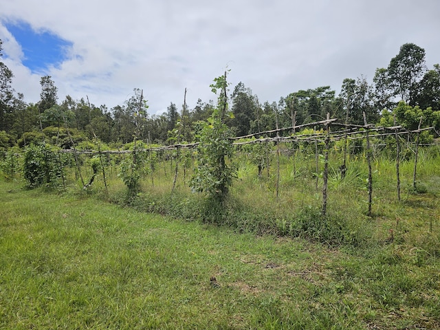 16-1754 Uhini Ana Rd, Mountain View, HI 96760 - photo 21