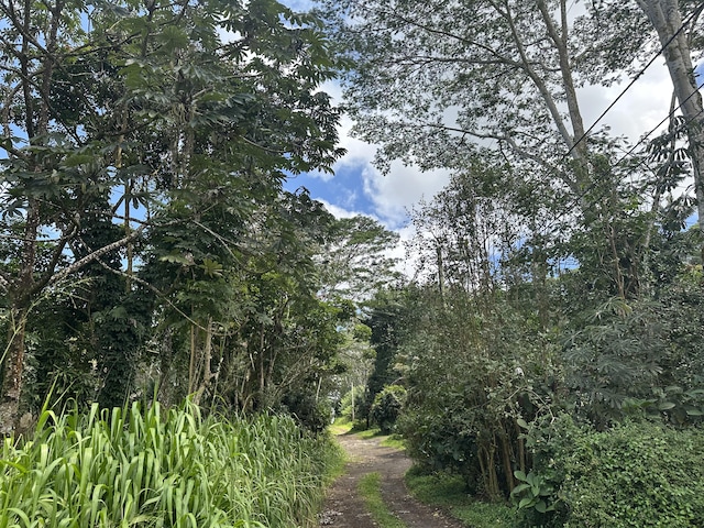 Tiki Rd, Keaau, HI 96749