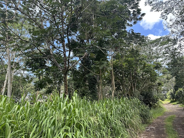 Tiki Rd, Keaau, HI 96749