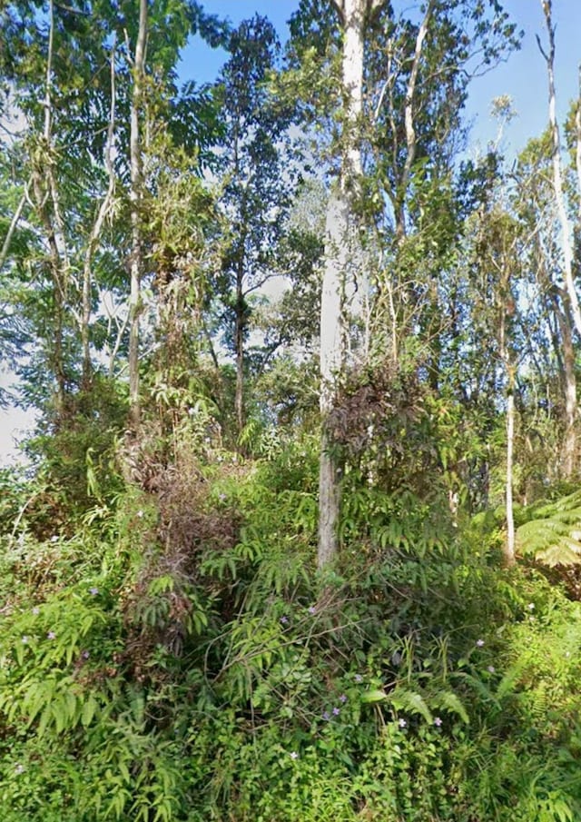 Kupono St, Pahoa, HI 96778