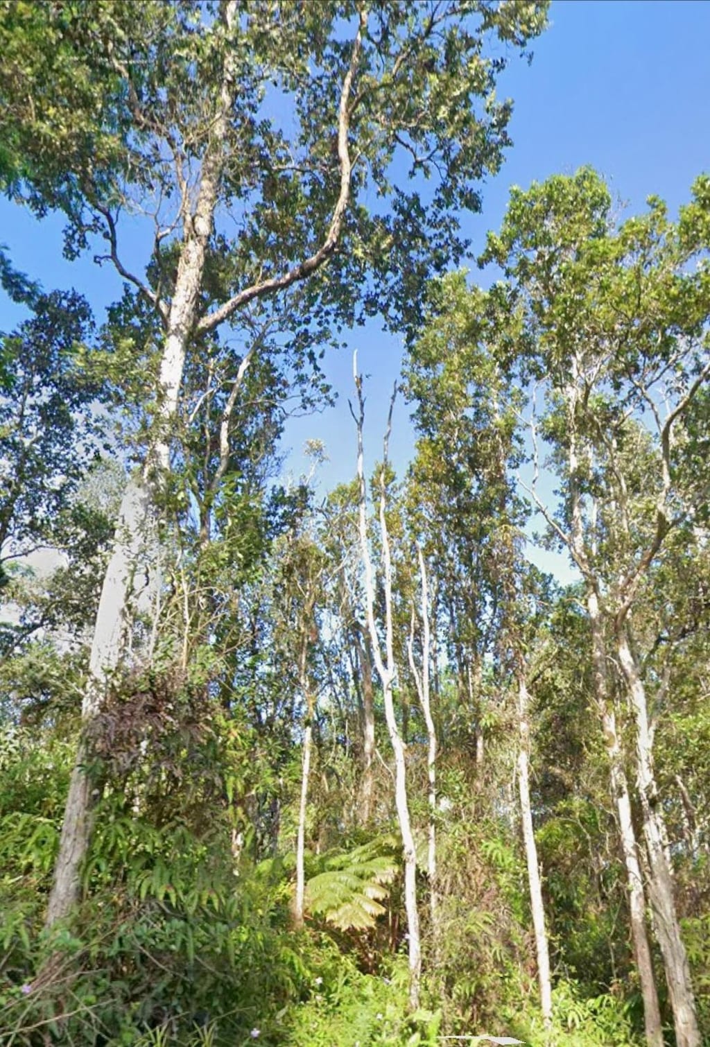 Kupono St, Pahoa, HI 96778