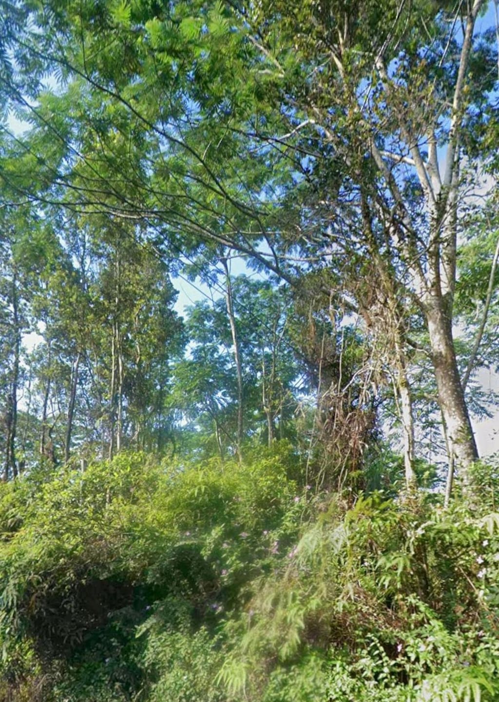 Kupono St, Pahoa, HI 96778