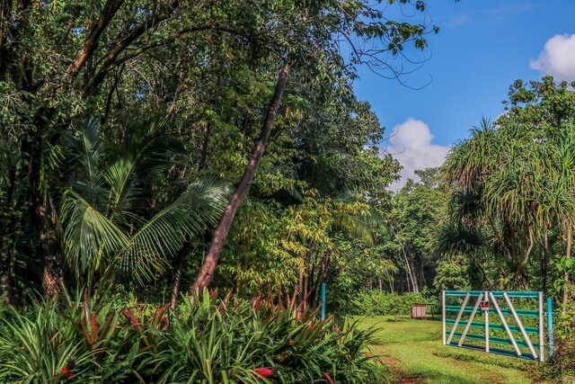 13-103 Nalu Pl, Pahoa, HI 96778 - photo 4