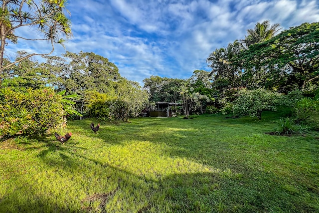 13-103 Nalu Pl, Pahoa, HI 96778 - photo 5