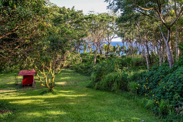 13-103 Nalu Pl, Pahoa, HI 96778 - photo 15