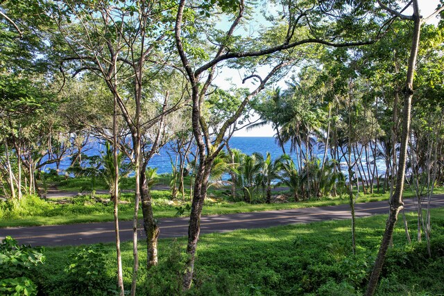 13-103 Nalu Pl, Pahoa, HI 96778 - photo 16
