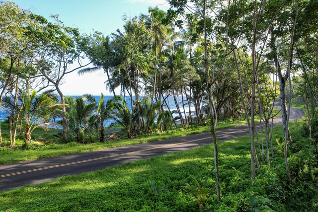 13-103 Nalu Pl, Pahoa, HI 96778 - photo 17