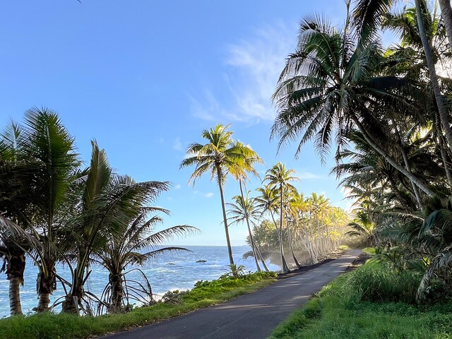 13-103 Nalu Pl, Pahoa, HI 96778 - photo 18