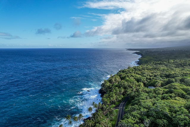 13-103 Nalu Pl, Pahoa, HI 96778 - photo 20