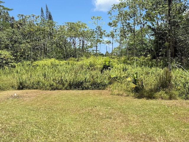 16-2007 34th Ave Unit 1 & 2, Keaau, HI 96749 - view of grassy yard