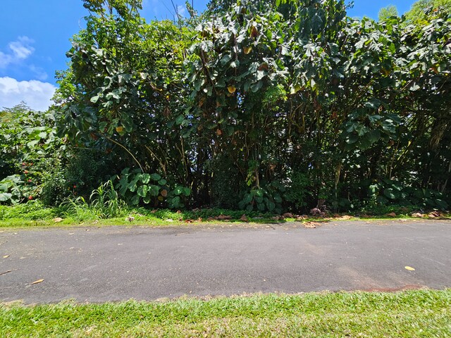 Papai St, Pahoa, HI 96778