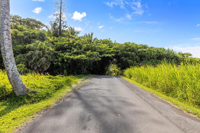 Government Beach Rd Lot 81, Pahoa, HI 96778 - photo 2