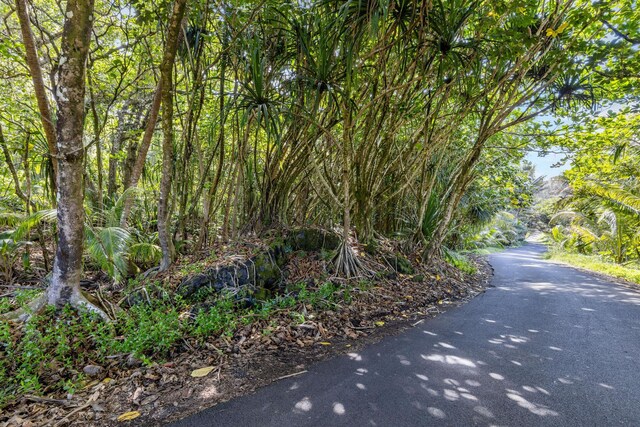 Government Beach Rd Lot 81, Pahoa, HI 96778 - photo 3