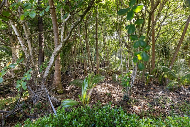 Government Beach Rd Lot 81, Pahoa, HI 96778 - photo 6