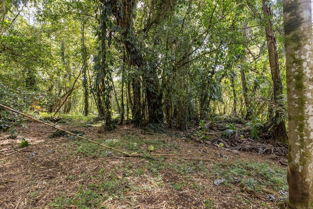 Government Beach Rd Lot 81, Pahoa, HI 96778 - photo 7