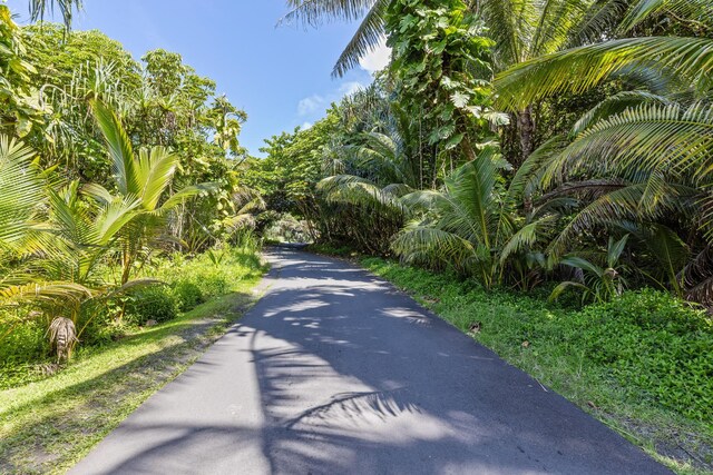 Government Beach Rd Lot 81, Pahoa, HI 96778 - photo 11
