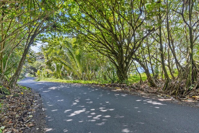 Government Beach Rd Lot 81, Pahoa, HI 96778 - photo 12