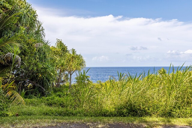 Government Beach Rd Lot 81, Pahoa, HI 96778 - photo 13