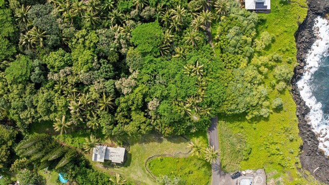 Government Beach Rd Lot 81, Pahoa, HI 96778 - photo 14