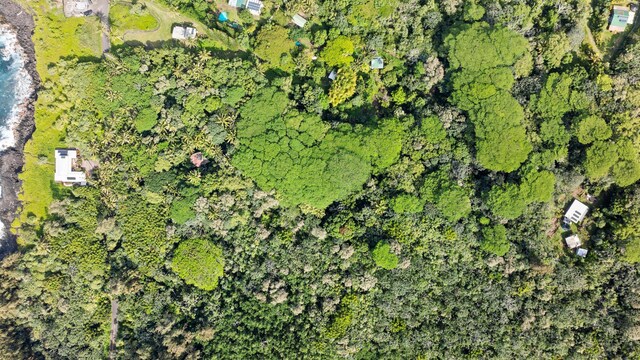Government Beach Rd Lot 81, Pahoa, HI 96778 - photo 18
