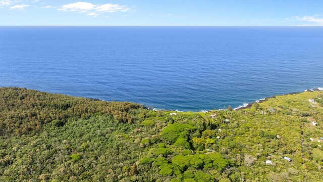 Government Beach Rd Lot 81, Pahoa, HI 96778 - photo 19