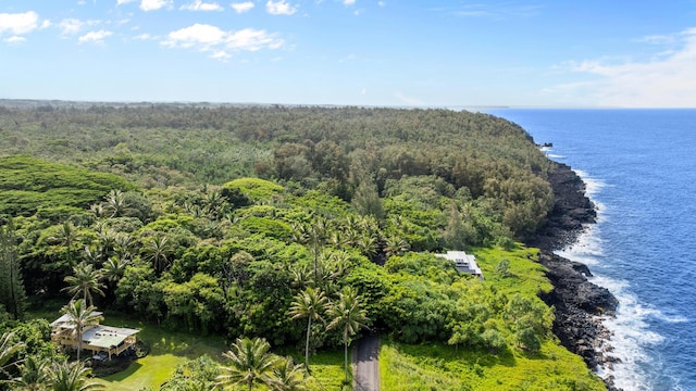 Government Beach Rd Lot 81, Pahoa, HI 96778 - photo 21