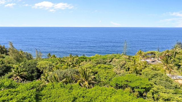 Government Beach Rd Lot 81, Pahoa, HI 96778 - photo 22