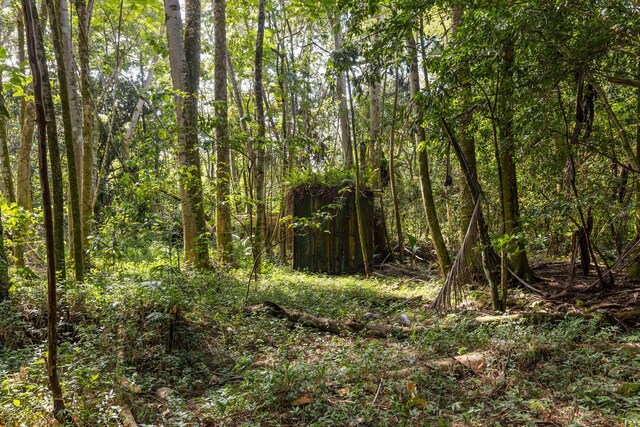 Government Beach Rd Lot 81, Pahoa, HI 96778 - photo 24