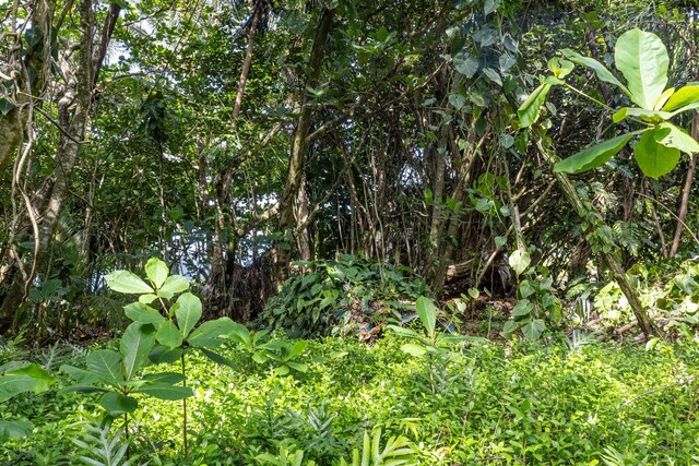 Government Beach Rd Lot 81, Pahoa, HI 96778 - photo 26