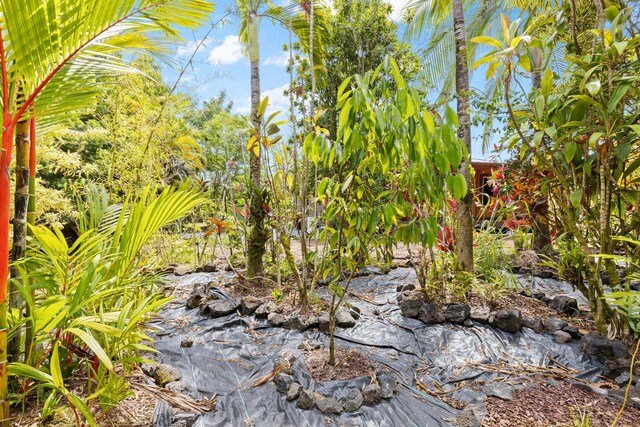15-1644 4th Ave, Keaau, HI 96749 - view of yard