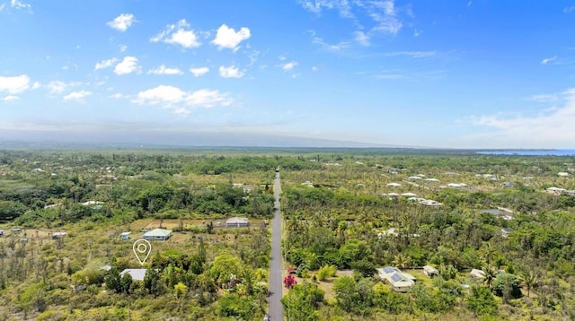 15-1644 4th Ave, Keaau, HI 96749 - aerial view of a forest