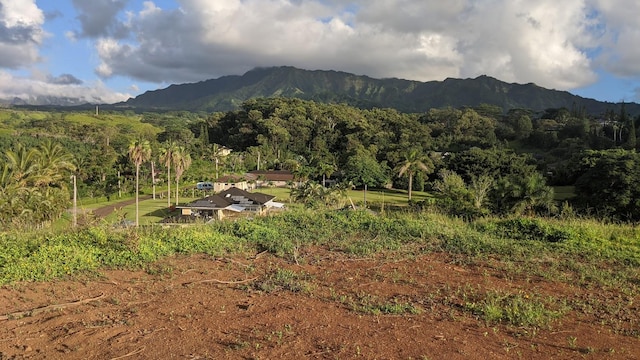 Kapaa, HI 96746