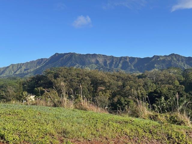 Kapaa, HI 96746
