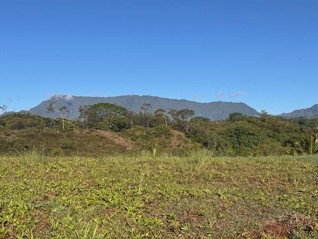 Kapaa, HI 96746
