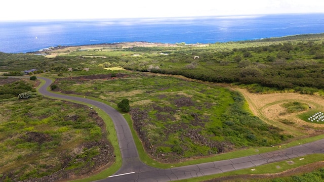 81-589 Kaiue St, Kealakekua, HI 96750 - photo 2