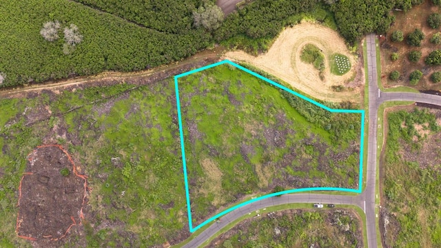 81-589 Kaiue St, Kealakekua, HI 96750 - photo 3