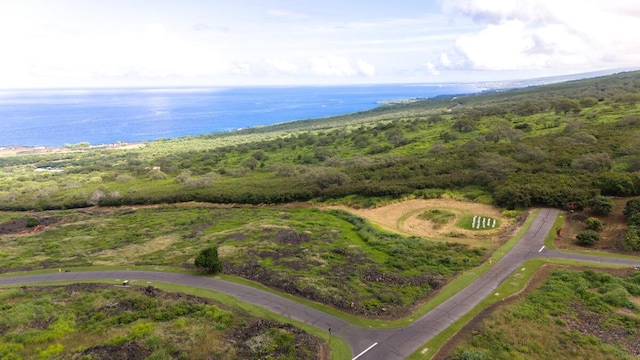 81-589 Kaiue St, Kealakekua, HI 96750 - photo 6