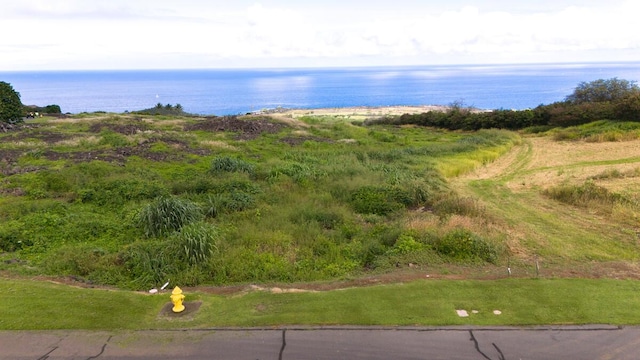 81-589 Kaiue St, Kealakekua, HI 96750 - photo 10