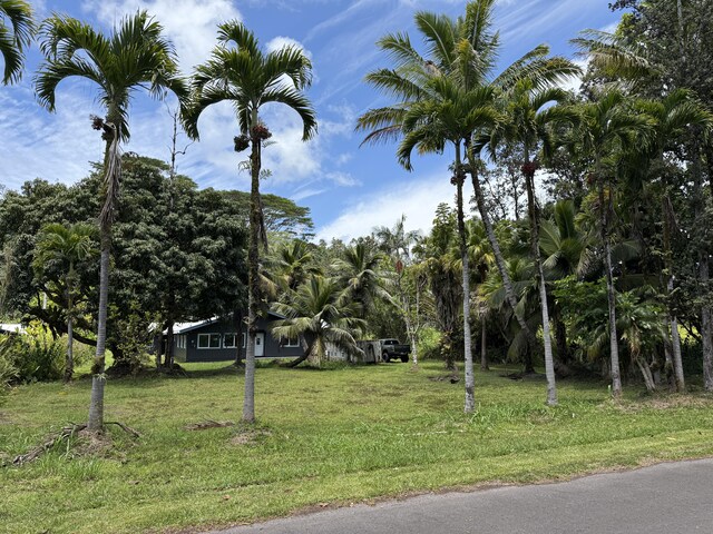 13-3436 Alapai St, Pahoa, HI 96778 - view of grassy yard