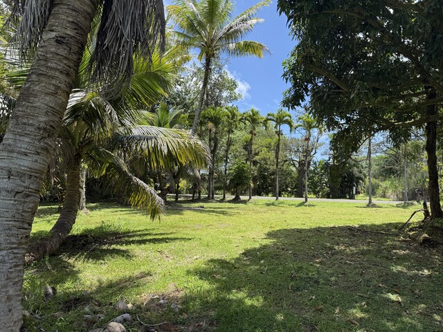 13-3436 Alapai St, Pahoa, HI 96778 - view of grassy yard