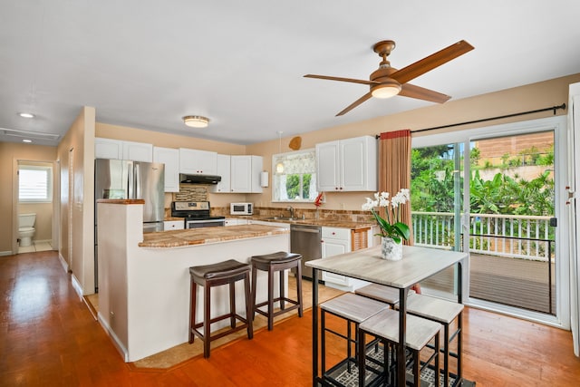 5167 Holomua Pl, Kapaa, HI 96746 - kitchen with stainless steel appliances, under cabinet range hood, white cabinets, a sink, and a ceiling fan