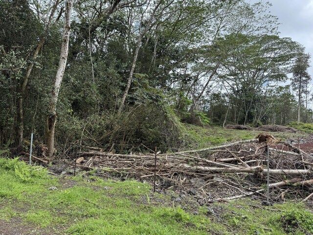 14-655 Kapuna Rd, Pahoa, HI 96778 - photo 2
