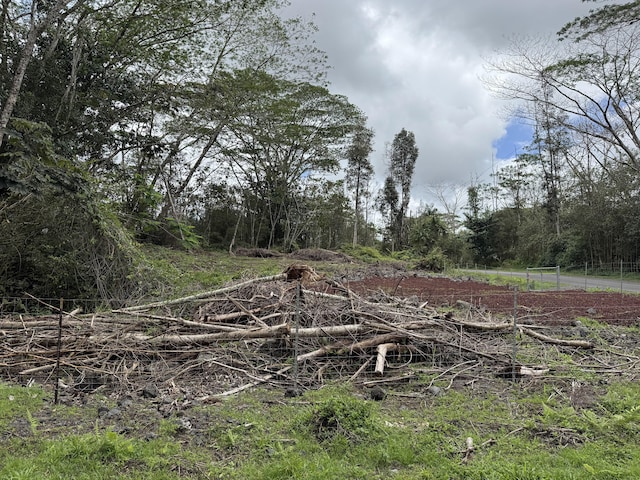 14-655 Kapuna Rd, Pahoa, HI 96778 - photo 3