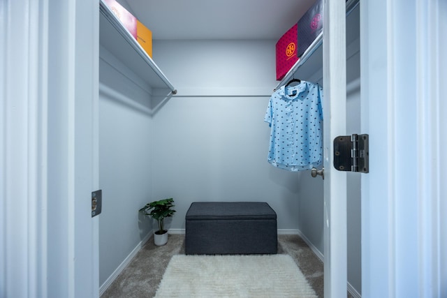 15-1791 4th Ave, Keaau, HI 96749 - spacious closet featuring carpet floors