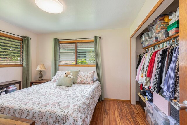 171 Lani Alii Pl, Kapaa, HI 96746 - bedroom with multiple windows, wood finished floors, baseboards, and a closet