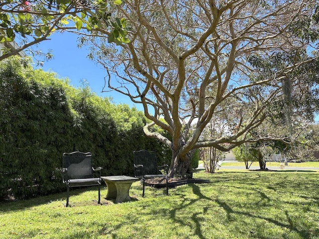 67-1272 Laikealoha St, Kamuela, HI 96743 - view of green lawn