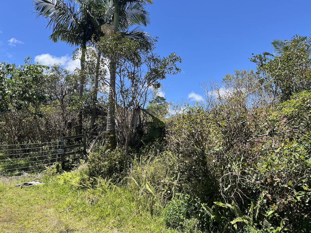 S Rd, Pahoa, HI 96778 - photo 2