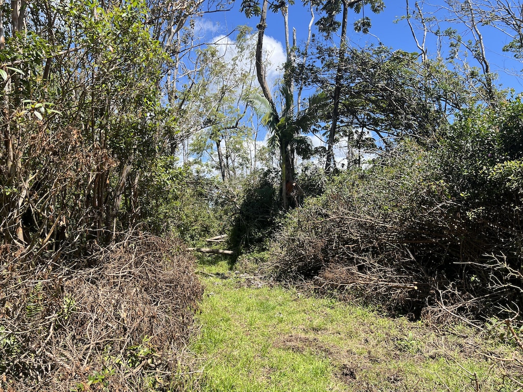 S Rd, Pahoa, HI 96778 - photo 3