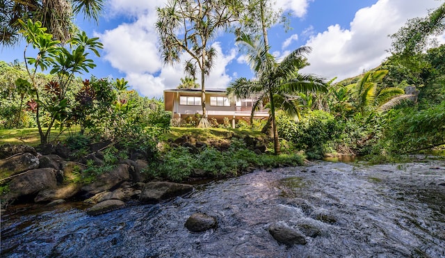 5-6691 Kuhio Hwy, Hanalei, HI 96714 - view of yard
